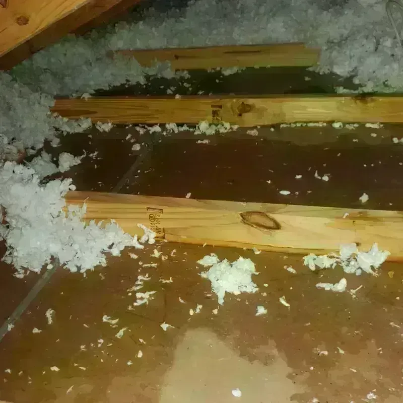 Attic Water Damage in Desert Edge, CA